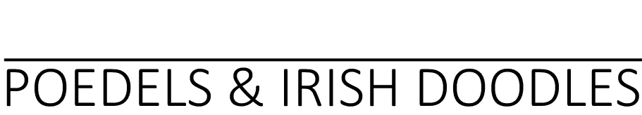 From the House of Fawn