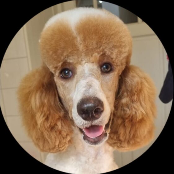Sophie